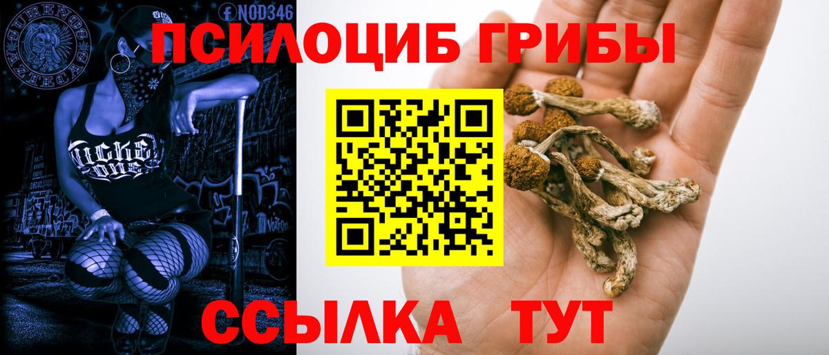 Псилоцибиновые грибы GOLDEN TEACHER  Вход с VPN  Сосновоборск 